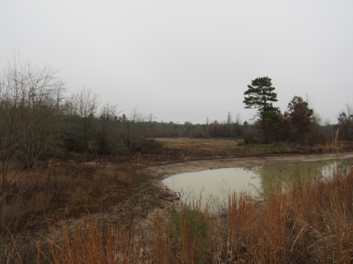 216 acres