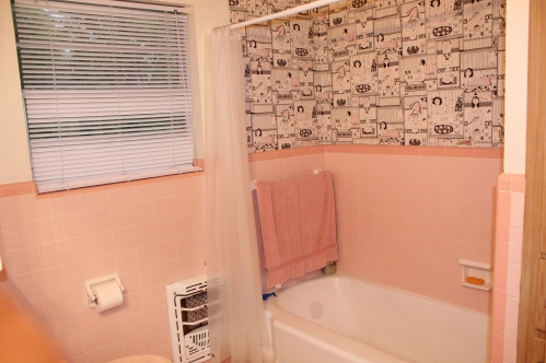 Photo 1738 Full