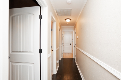 Photo 3087 Full