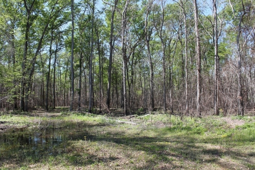 172.69 acres