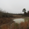 listing photo 1490