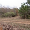 listing photo 1491