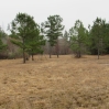 listing photo 1497