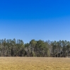 listing photo 3608